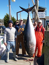 Oak island fishing charter giant bluefin tuna